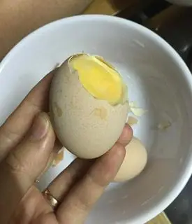 Hình ảnh Hột vịt dữa