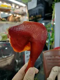 Hình ảnh Gà ta ủ xì dầu