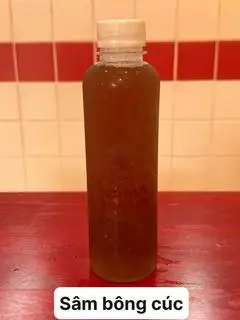 Hình ảnh Sâm hạt chia