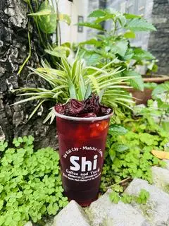 Hình ảnh Trà hibiscus xoài
