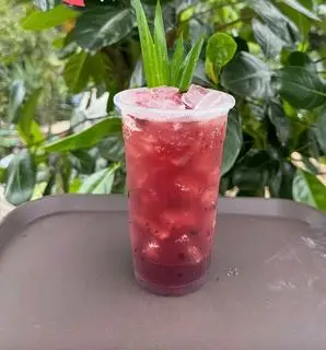 Hình ảnh trà việt quất 