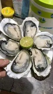Hình ảnh hàu gỏi