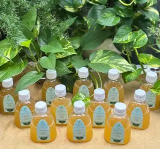 Hình ảnh Probiotic Active (Tăng Enzy&Probi) - CHAI NHỰA