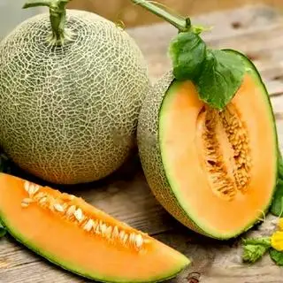 Hình ảnh Dưa lưới