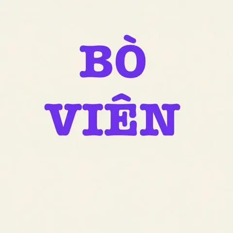 Hình ảnh BÚN - BÒ VIÊN NHÀ LÀM