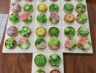 Hình ảnh Set 6 hoa rau câu sen đá