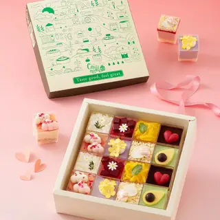 Hình ảnh Hộp Sweetbox Signature Green (Xanh) 16