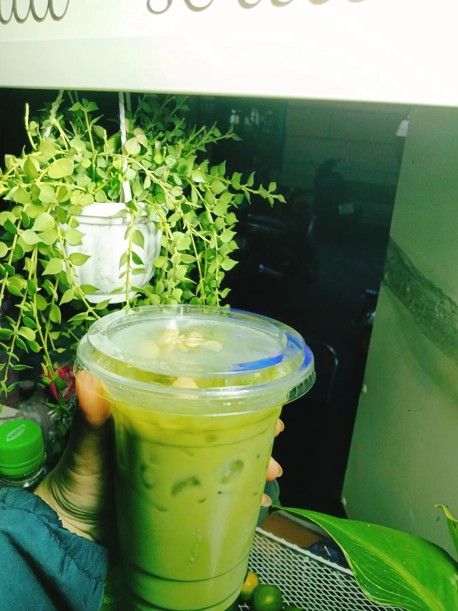 Hình ảnh RAU MÁ TRUYỀN THỐNG 