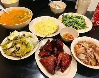 Hình ảnh chim Bồ câu quay 