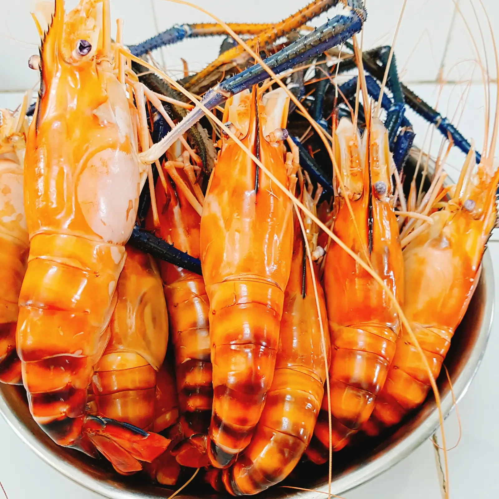 Hình ảnh Tôm càng xanh