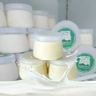 Hình ảnh Yaout Phô Mai  Đà Lạt