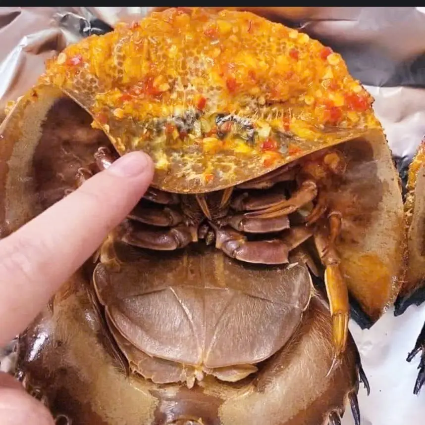 Hình ảnh Sam trứng lớn