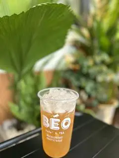 Hình ảnh Trà lài xoài 