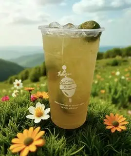 Hình ảnh Trà tắc