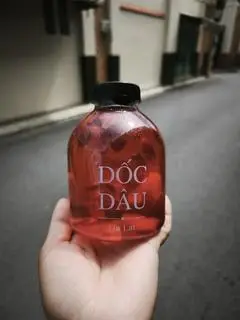 Hình ảnh Trà Dâu Tươi ( Chai lùn 450ml)