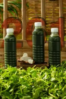 Hình ảnh Rau má đường phèn chai 350ml