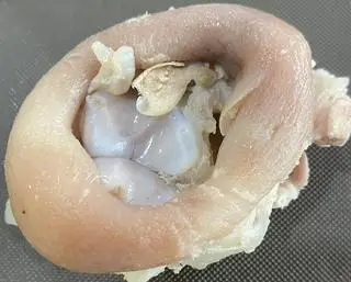 Hình ảnh Giò Heo