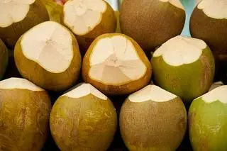Hình ảnh dừa mã lai