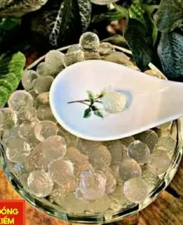 Hình ảnh trân châu trắng