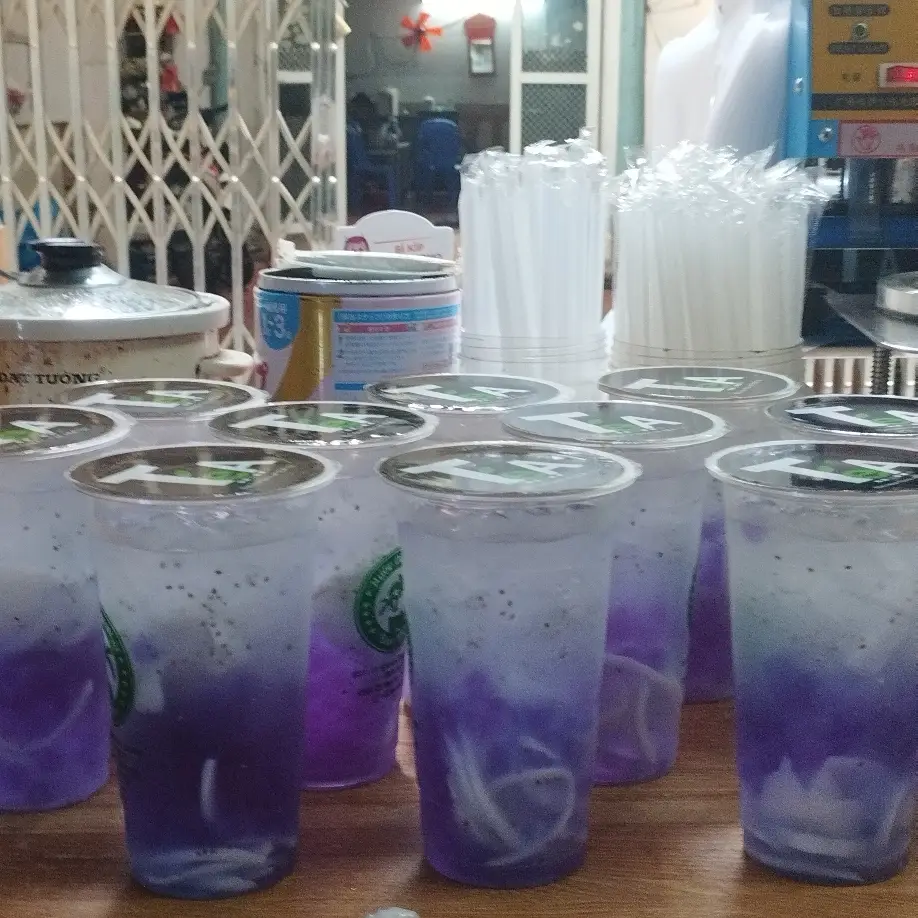 Hình ảnh Dừa Thủy Chung 