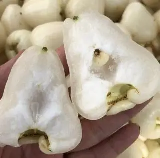 Hình ảnh Mận trắng sữa cắt sẵn 300gram
