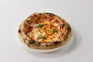Hình ảnh MISTER MARINARA - 9 INCH