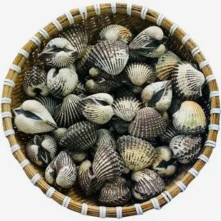 Hình ảnh  Sò Huyết Xào Me 