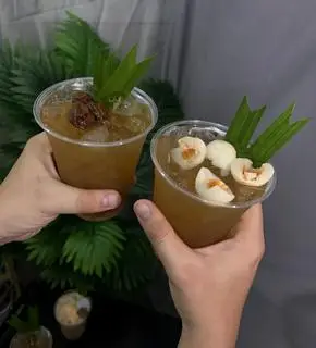 Hình ảnh Trà Mơ nhài