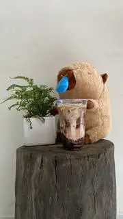 Hình ảnh Cacao cà phê