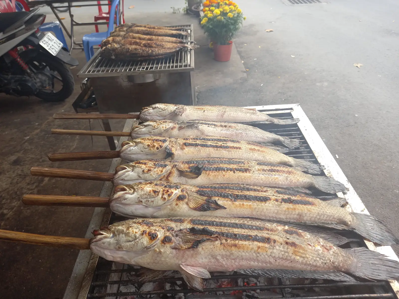 Hình ảnh Cá lóc nướng rau Rừng .loại Lớn