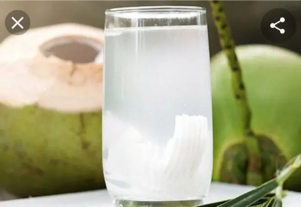 Hình ảnh dừa ly 800ml