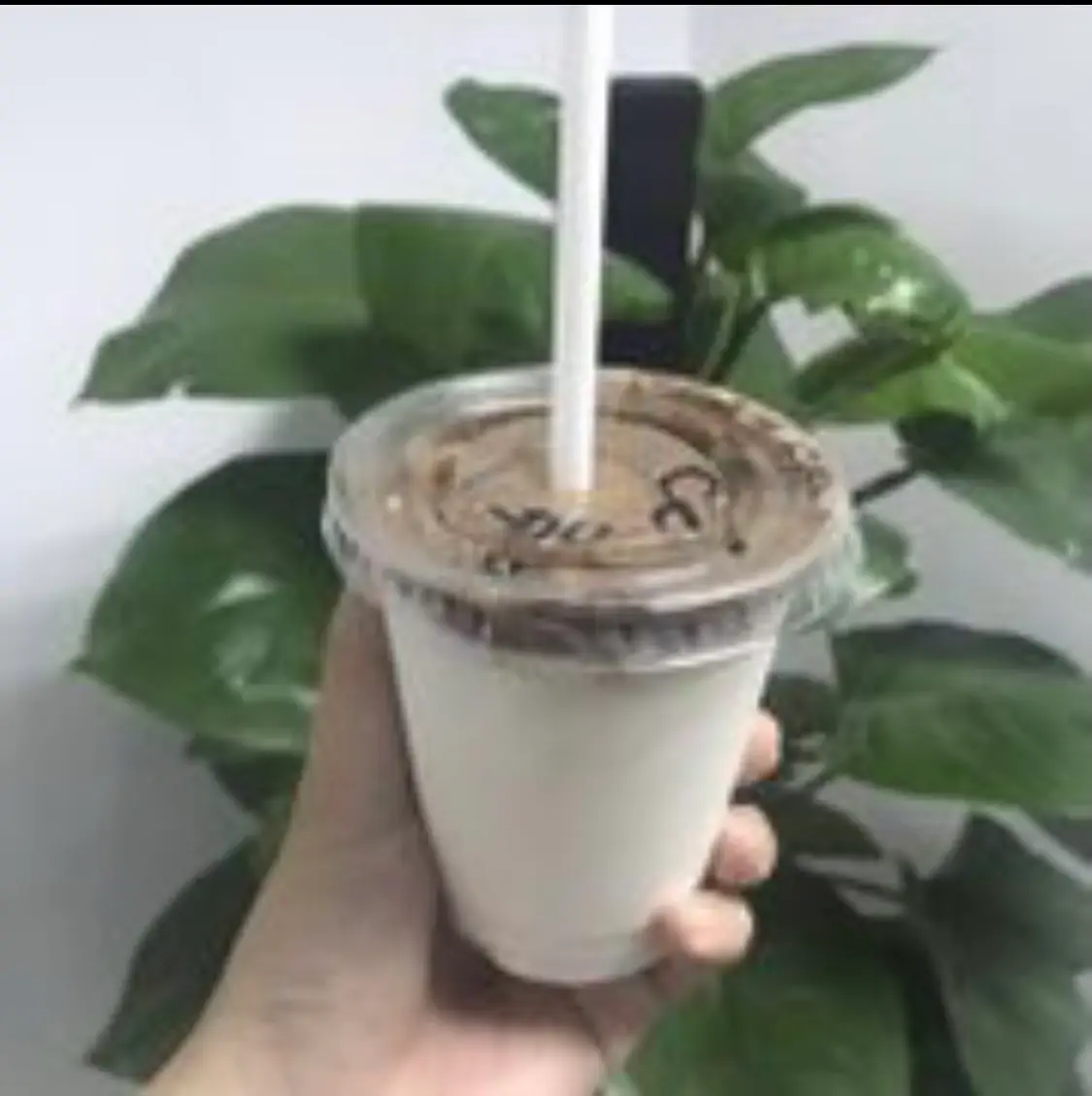 Hình ảnh Cacao dừa