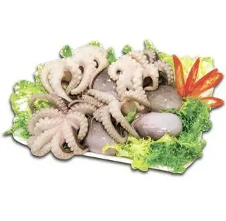 Hình ảnh Bạch tuộc