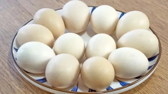 Hình ảnh trứng gà (cđ)