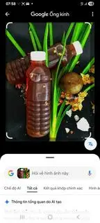 Hình ảnh  nước sâm