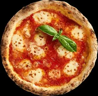 Hình ảnh Margherita with fresh mozzarella pizza