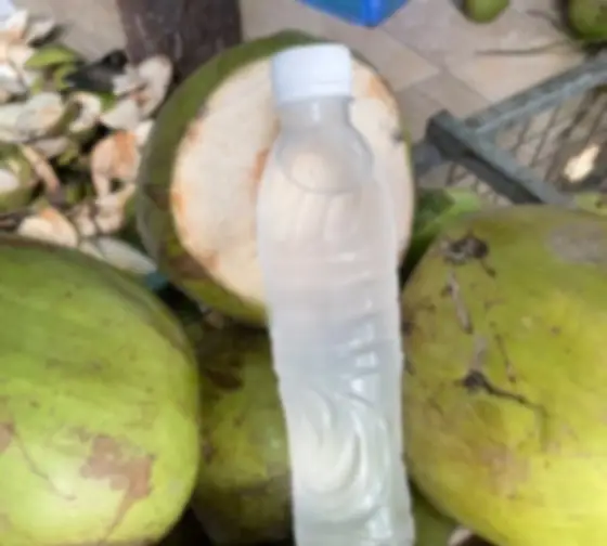 Hình ảnh Nước dừa xiêm chai 500ml