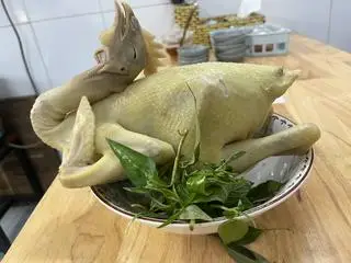 Hình ảnh Gà cúng tài lộc