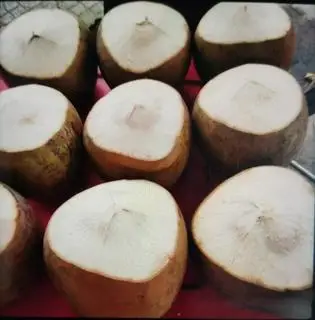 Hình ảnh dừa không lạnh nhỏ