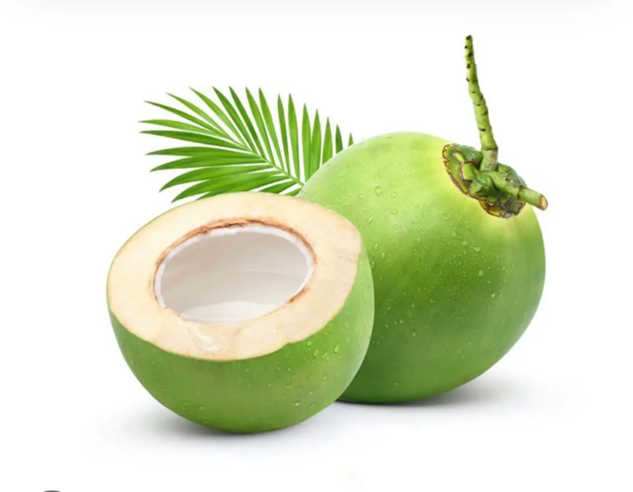 Hình ảnh Dừa xiêm bến tre