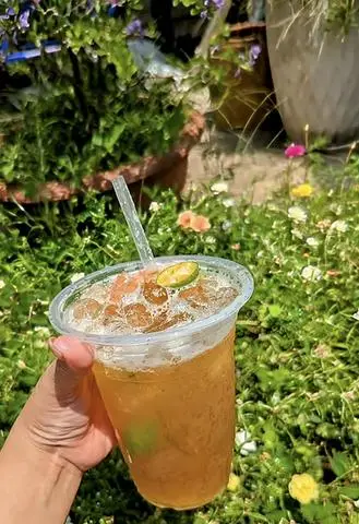 Hình ảnh Trà trắc xí muội 