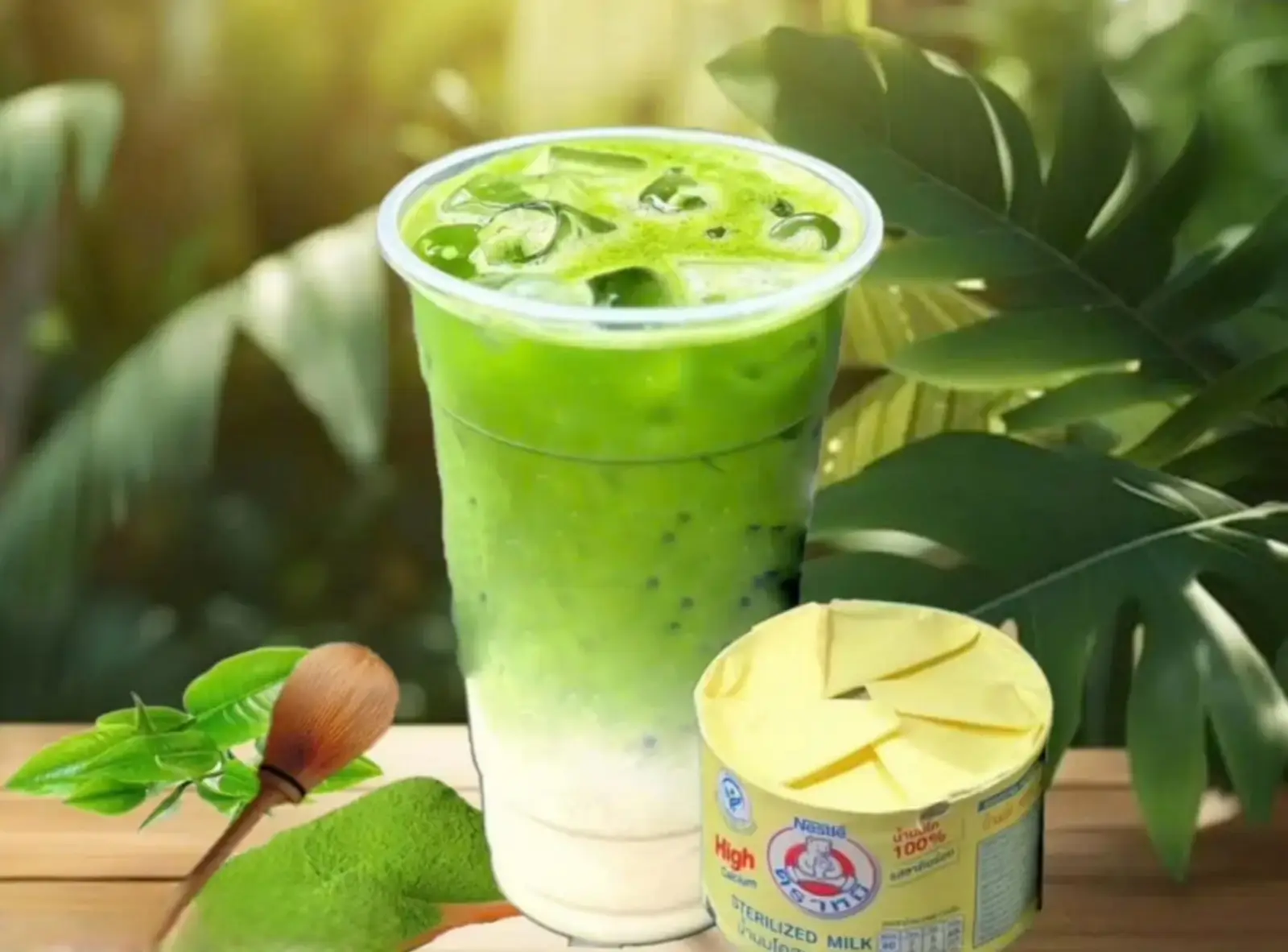 Hình ảnh MATTCHA SỮA GẤU size L