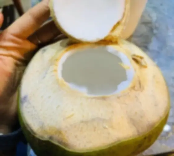 Hình ảnh Dừa xiêm loại 1