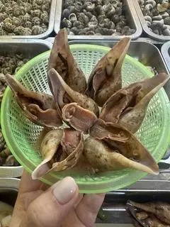 Hình ảnh Ốc Muỗng nướng tiêu xanh