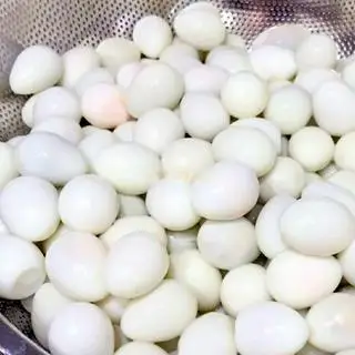 Hình ảnh Trứng cút