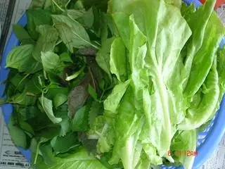 Hình ảnh Rau thêm