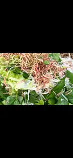 Hình ảnh Rau thêm - 1 phần