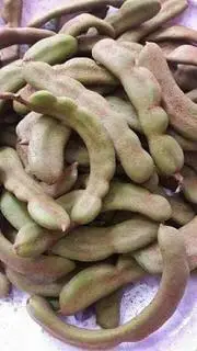 Hình ảnh Me non