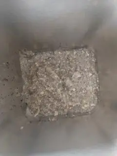 Hình ảnh ngủ cốc 