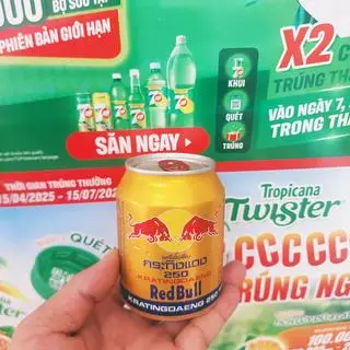 Hình ảnh Bò Thái
